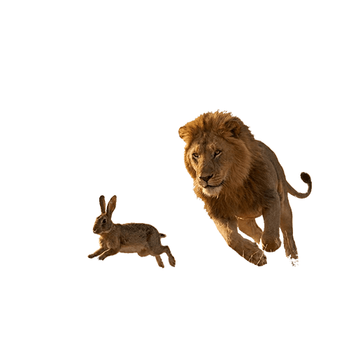 Processed Lion and Rabbit